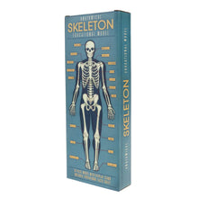 Load image into Gallery viewer, Skeleton model