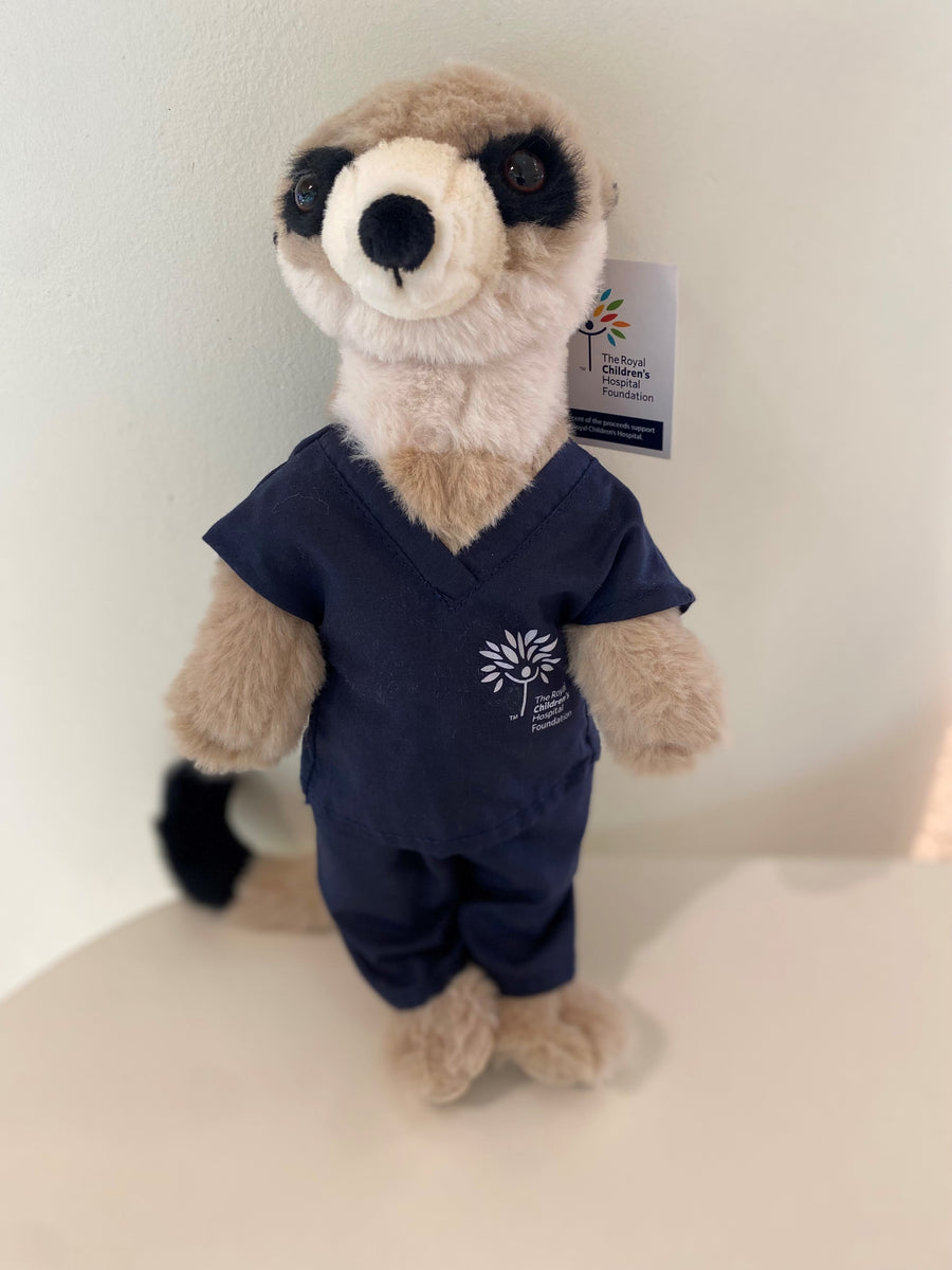 Meerkat in scrubs – RCH Gratitude Hub