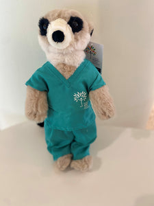 Meerkat in scrubs