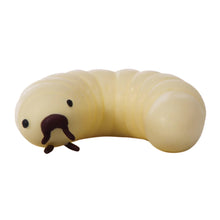 Load image into Gallery viewer, Grub in a Tub
