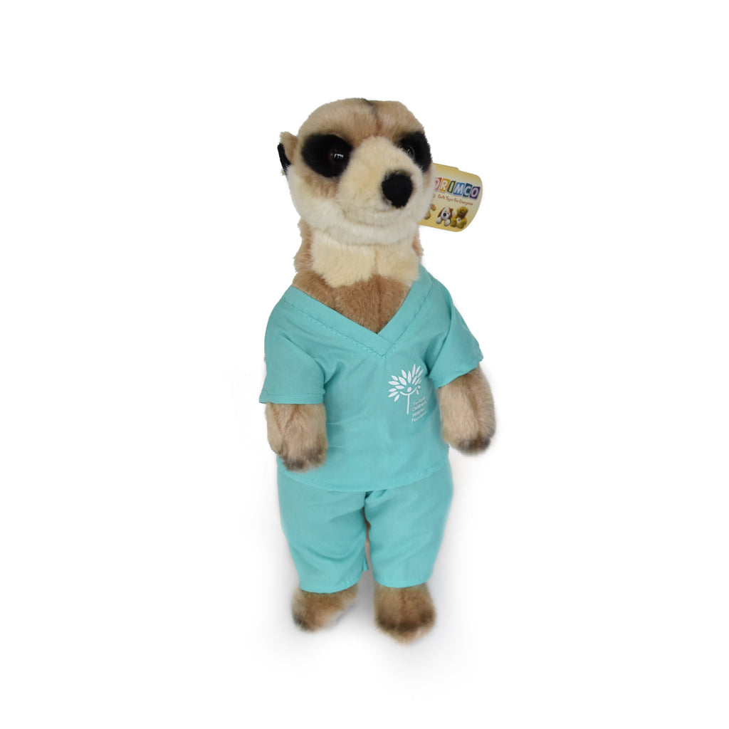 Meerkat in scrubs – RCH Gratitude Hub